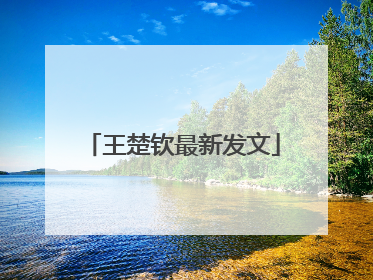 王楚钦最新发文