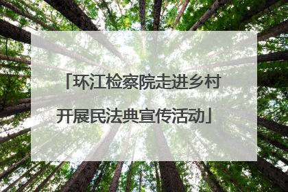 环江检察院走进乡村开展民法典宣传活动