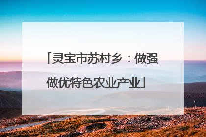 灵宝市苏村乡：做强做优特色农业产业