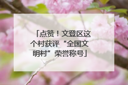 点赞！文登区这个村获评“全国文明村”荣誉称号