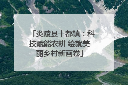 炎陵县十都镇：科技赋能农耕 绘就美丽乡村新画卷