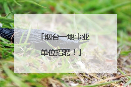 烟台一地事业单位招聘！