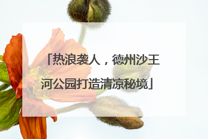 热浪袭人，德州沙王河公园打造清凉秘境