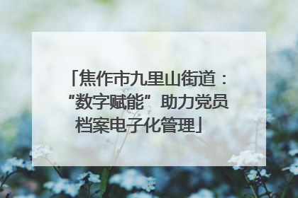 焦作市九里山街道：“数字赋能”助力党员档案电子化管理