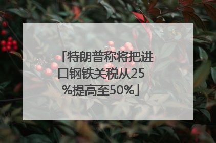 特朗普称将把进口钢铁关税从25%提高至50%