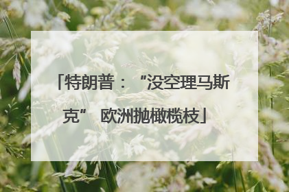 特朗普：“没空理马斯克” 欧洲抛橄榄枝