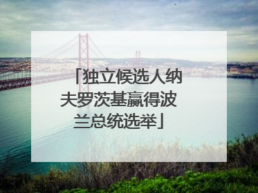 独立候选人纳夫罗茨基赢得波兰总统选举