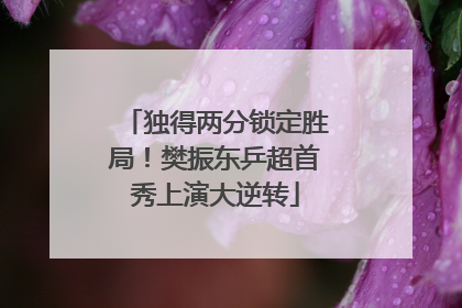 独得两分锁定胜局！樊振东乒超首秀上演大逆转