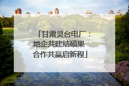 甘肃灵台电厂：地企共建结硕果 合作共赢启新程