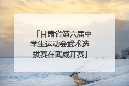 甘肃省第六届中学生运动会武术选拔赛在武威开赛