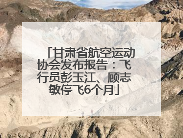 甘肃省航空运动协会发布报告:飞行员彭玉江、顾志敏停飞6个月