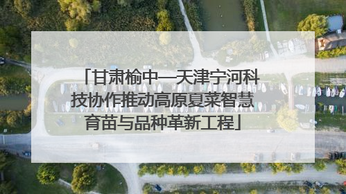 甘肃榆中—天津宁河科技协作推动高原夏菜智慧育苗与品种革新工程