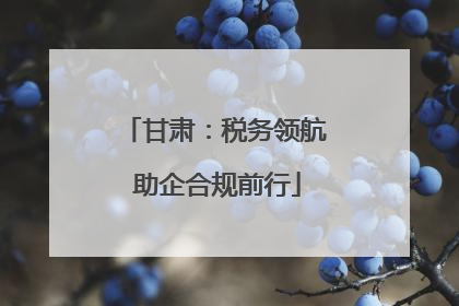 甘肃：税务领航 助企合规前行