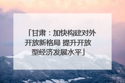 甘肃：加快构建对外开放新格局 提升开放型经济发展水平