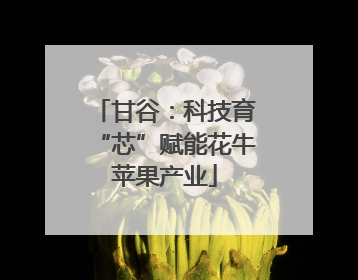 甘谷：科技育“芯”赋能花牛苹果产业