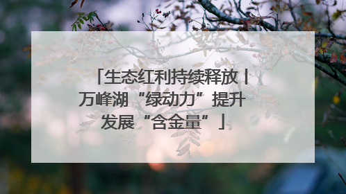 生态红利持续释放丨万峰湖“绿动力”提升发展“含金量”