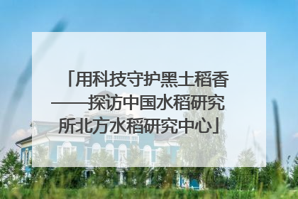 用科技守护黑土稻香——探访中国水稻研究所北方水稻研究中心