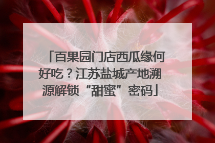 百果园门店西瓜缘何好吃？江苏盐城产地溯源解锁“甜蜜”密码