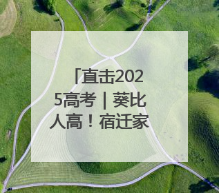 直击2025高考｜葵比人高！宿迁家长“花式送考”