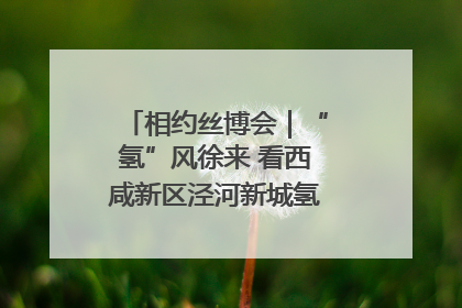 相约丝博会｜“氢”风徐来 看西咸新区泾河新城氢能产业聚链成势