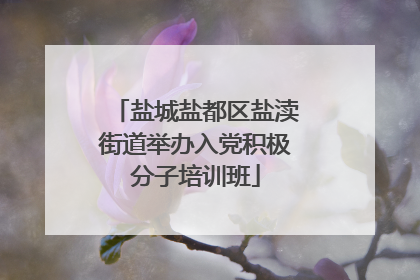 盐城盐都区盐渎街道举办入党积极分子培训班