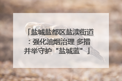 盐城盐都区盐渎街道：强化油烟治理 多措并举守护“盐城蓝”
