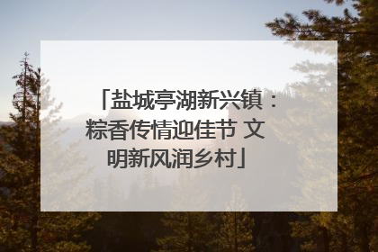 盐城亭湖新兴镇：粽香传情迎佳节 文明新风润乡村