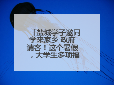 盐城学子邀同学来家乡 政府请客！这个暑假，大学生多项福利免费游盐城