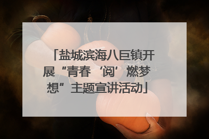 盐城滨海八巨镇开展“青春‘阅’燃梦想”主题宣讲活动