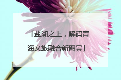 盐湖之上，解码青海文旅融合新图景