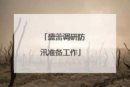 盛蕾调研防汛准备工作
