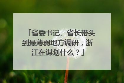 省委书记、省长带头到最薄弱地方调研，浙江在谋划什么？