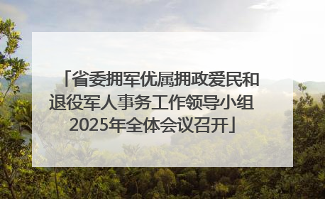 省委拥军优属拥政爱民和退役军人事务工作领导小组2025年全体会议召开