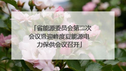 省能源委员会第二次会议暨迎峰度夏能源电力保供会议召开