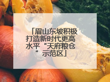 眉山东坡积极打造新时代更高水平“天府粮仓”示范区