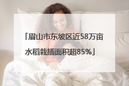 眉山市东坡区近58万亩水稻栽插面积超85%