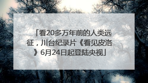 看20多万年前的人类远征，川台纪录片《看见皮洛》6月24日起登陆央视