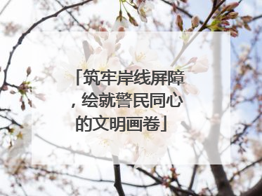 筑牢岸线屏障，绘就警民同心的文明画卷
