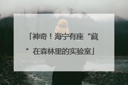 神奇！海宁有座“藏”在森林里的实验室