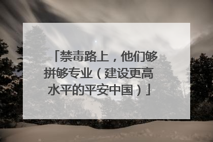 禁毒路上，他们够拼够专业（建设更高水平的平安中国）