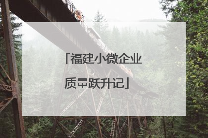 福建小微企业质量跃升记