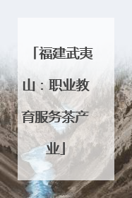 福建武夷山：职业教育服务茶产业