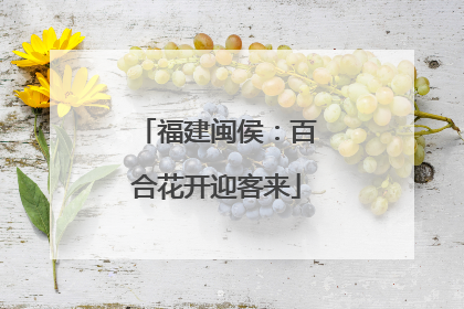 福建闽侯：百合花开迎客来