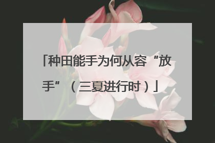 种田能手为何从容“放手”（三夏进行时）