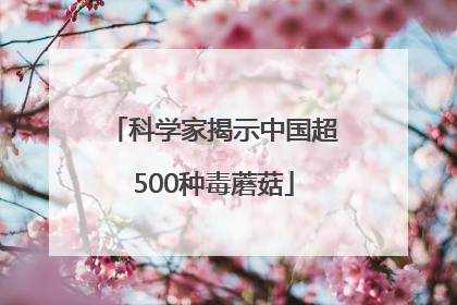 科学家揭示中国超500种毒蘑菇