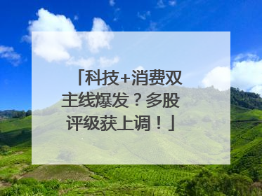 科技+消费双主线爆发？多股评级获上调！