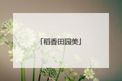 稻香田园美