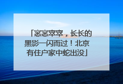 窸窸窣窣，长长的黑影一闪而过！北京有住户家中蛇出没