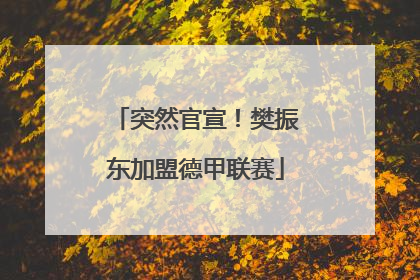 突然官宣！樊振东加盟德甲联赛