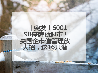 突发！600190停牌预退市！央国企市值管理放大招，这16只潜力股要火？